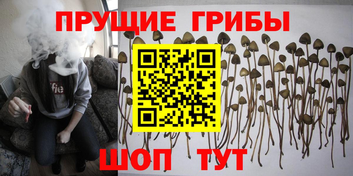 Галлюциногенные грибы мицелий Самара